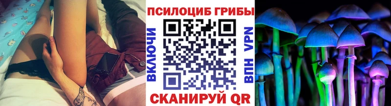 купить закладку  Миньяр  Галлюциногенные грибы мухоморы 